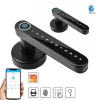 Smart Door Lock R1pro